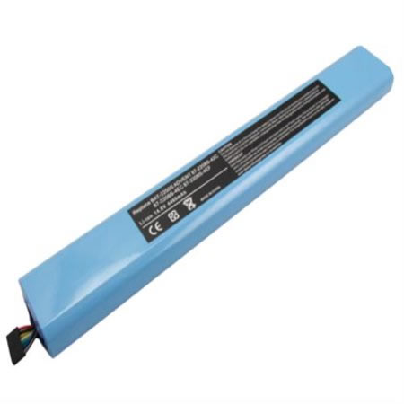 Batterie Clevo BAT-2794 BAT-2296 14.8V 4400mAh pour ordinateur portable Clevo M220S M22ES séries